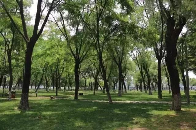2017郑州旅游清单，首次告诉你郑州74个好玩的地方，你去过几个？