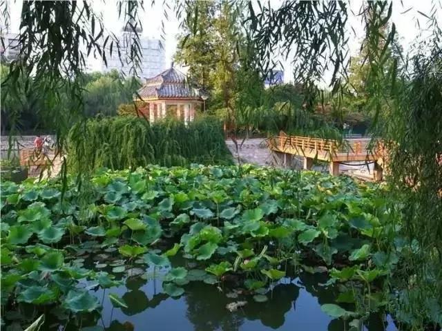 2017郑州旅游清单，首次告诉你郑州74个好玩的地方，你去过几个？