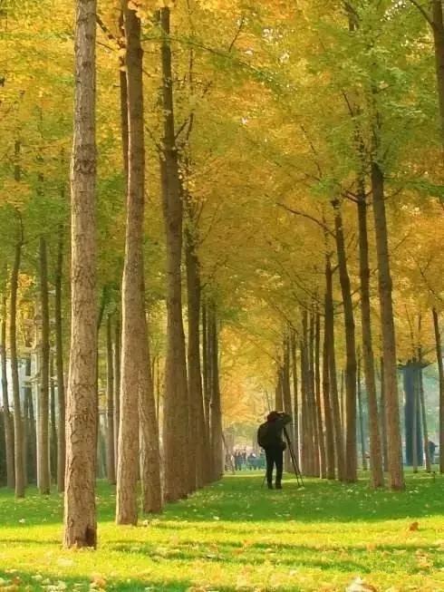 2017郑州旅游清单，首次告诉你郑州74个好玩的地方，你去过几个？