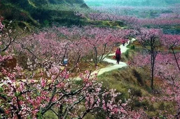 2017郑州旅游清单，首次告诉你郑州74个好玩的地方，你去过几个？