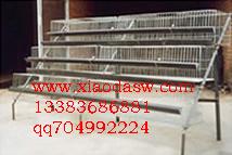 销售鸽笼 兔笼 鸡笼 运输笼 宠物笼 鹌鹑笼 鹧鸪笼 狐狸笼 鸡鸽兔笼 养殖笼网
