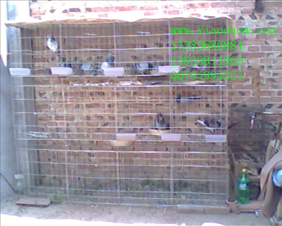 出售鸡笼鸽子笼兔子笼鹌鹑笼狐狸笼鹧鸪笼宠物笼运输笼狗笼