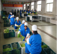 西安企事业单位蔬菜配送