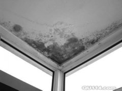 小关窗户台渗水怎么办|小关阳台防水怎么做