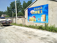 房地产广告 山东刷墙广告 邯郸墙体广告 全国发布
