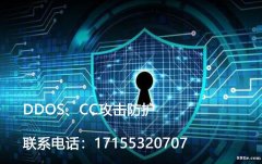 DDOS攻击防护高防CDN防火墙30G100G300G价格优