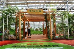 潍坊自然教育招商加盟 亲子活动方案 自然教育方案