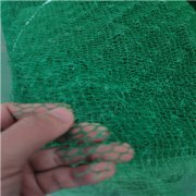 加工定制三维植被网护坡绿化固土三维网植被网