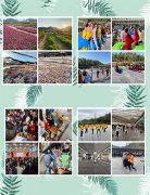 深圳农家乐九龙生态园公司团建拓展一日游分享
