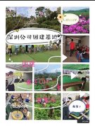 国庆深圳宝安附近可以组织公司部门团建趣味比赛的生态园分享