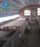 黑山羊养殖棚搭建 保温羊棚建设 牛羊养殖大棚施工厂家