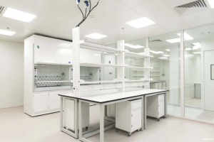 张江药谷40平起，精装修实验室，细胞间、P2实验室等