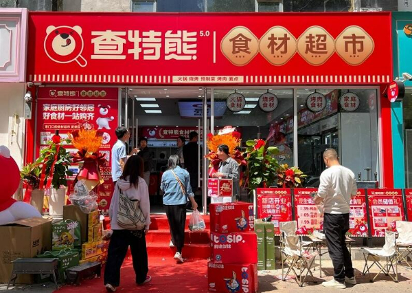 从失业到重生：一个中年人的查特熊创业逆袭之路